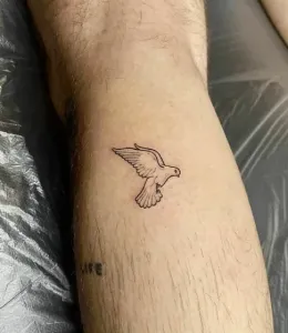 Dove-Tattoo-Design-Ideas-22