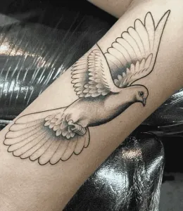 Dove-Tattoo-Design-Ideas-32