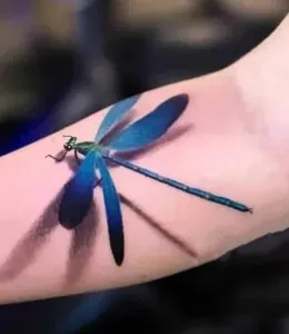 DragonFly-Tattoo-Design-Ideas-10