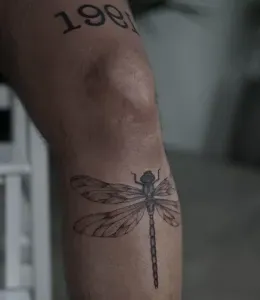 DragonFly-Tattoo-Design-Ideas-30