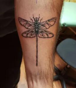 DragonFly-Tattoo-Design-Ideas-35