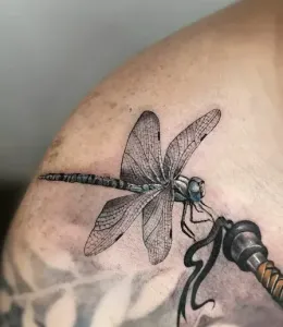 DragonFly-Tattoo-Design-Ideas-42