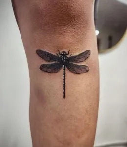 DragonFly-Tattoo-Design-Ideas-45