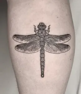 DragonFly-Tattoo-Design-Ideas-54