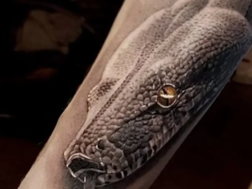 50 Animal Tattoo Ideas: The Complete Guide by Animal, Style and Placement 5 Realistic black and grey snake head tattoo wrapping a forearm, gold eye detail