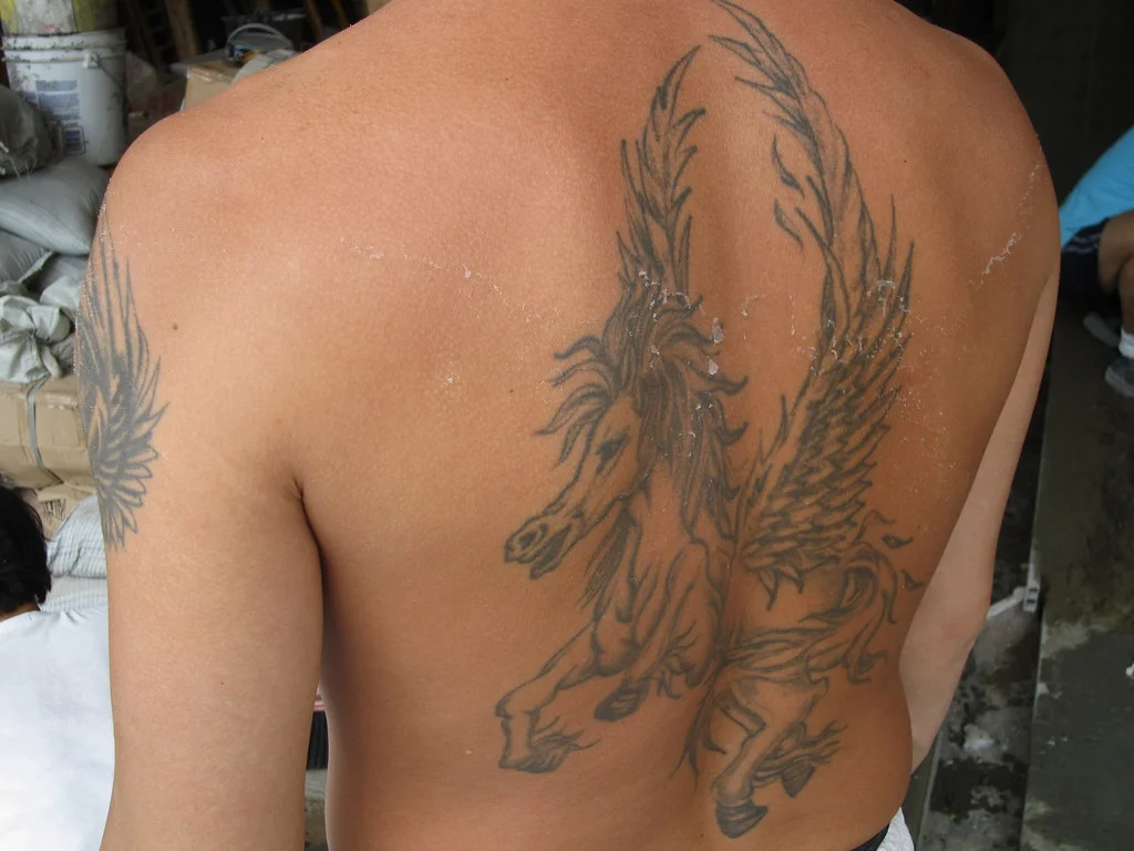 50 Animal Tattoo Ideas: The Complete Guide by Animal, Style and Placement 20 Large winged horse tattoo covering a man's back