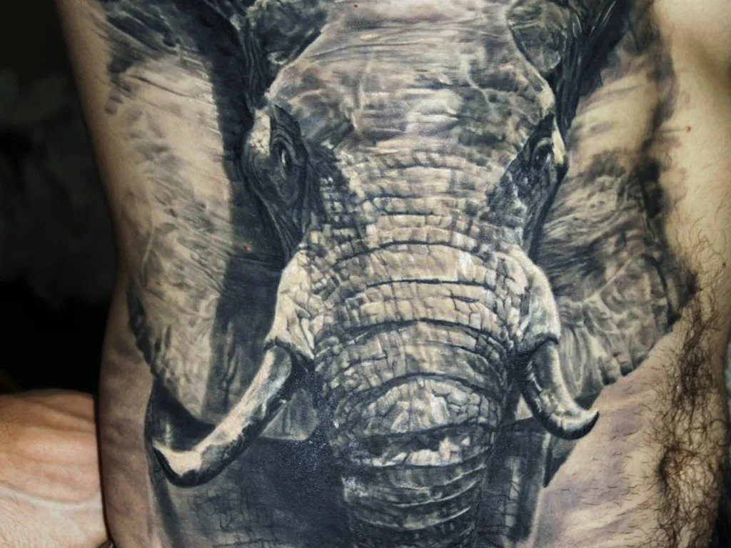 50 Animal Tattoo Ideas: The Complete Guide by Animal, Style and Placement 23 Realistic black and grey elephant head tattoo across a stomach