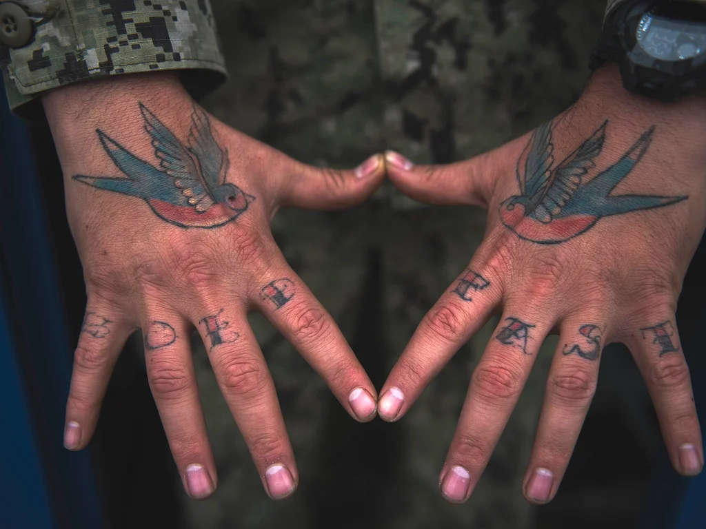 35 Bird Tattoo Ideas: Meanings, Species and Best Placements 3 Traditional swallow tattoos on the backs of a sailor's hands