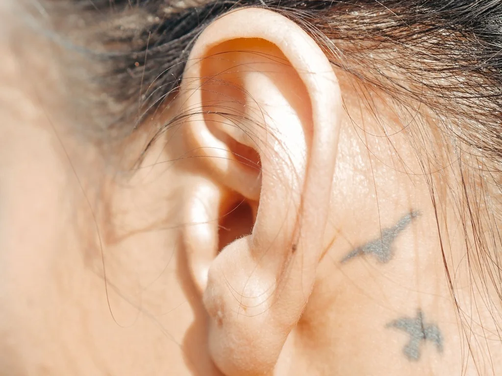 35 Bird Tattoo Ideas: Meanings, Species and Best Placements 5 Three tiny bird silhouette tattoos behind a woman's ear