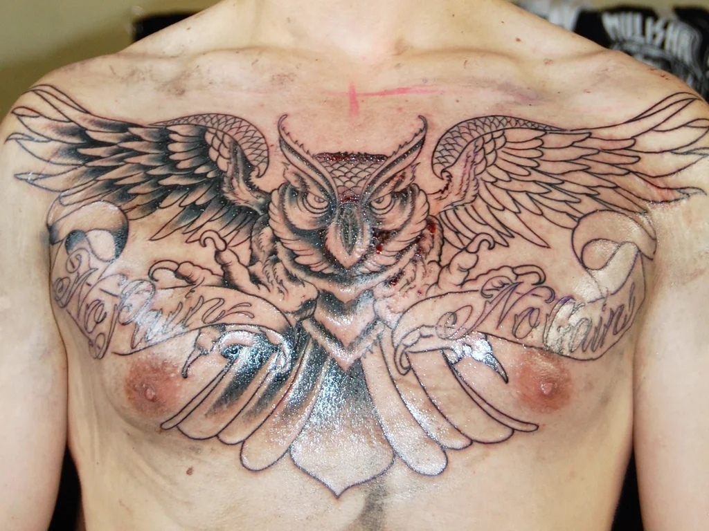 35 Bird Tattoo Ideas: Meanings, Species and Best Placements 24 Owl tattoo with spread wings across a chest