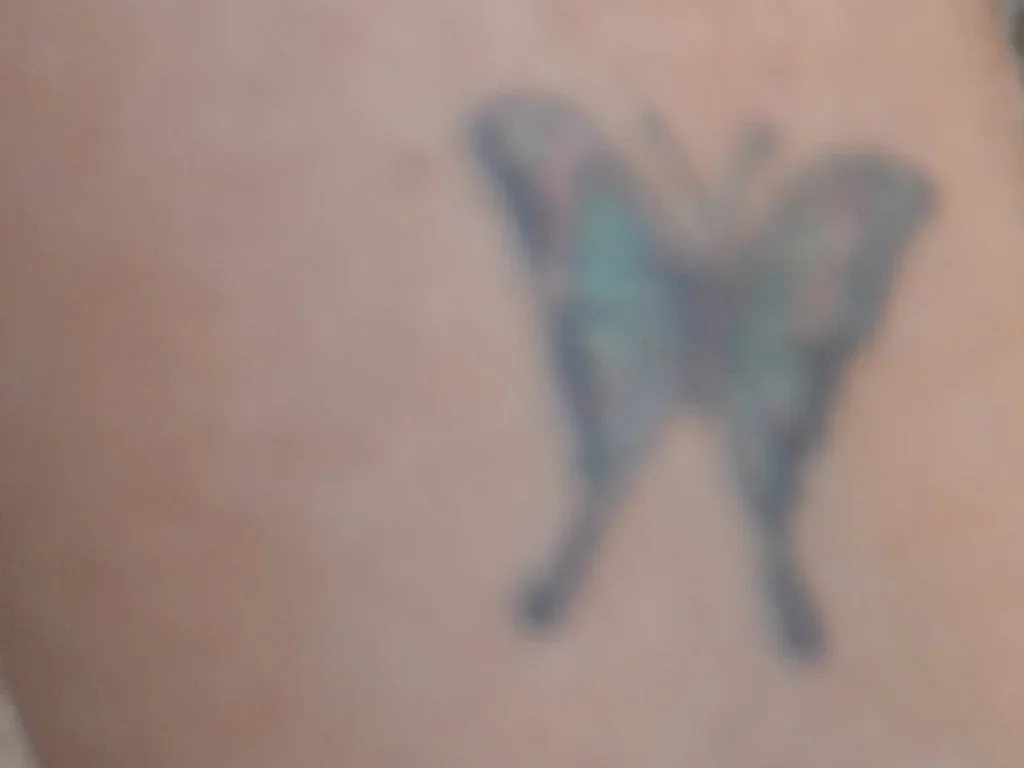 22 Butterfly Tattoo Ideas: Meanings, Styles and Best Placements 23 Tiny faded butterfly silhouette tattoo on the inner ankle