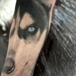 22 Pet Tattoo Ideas: Portraits, Paw Prints and Memorials Done Right 28 Black and grey realistic husky portrait tattoo covering a forearm