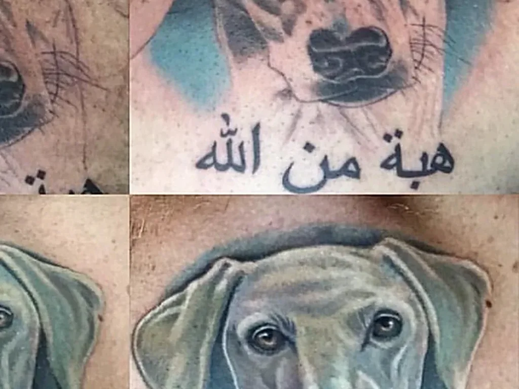 22 Pet Tattoo Ideas: Portraits, Paw Prints and Memorials Done Right 3 Colour realism Weimaraner dog portrait tattoo shown in stages from outline to finished piece