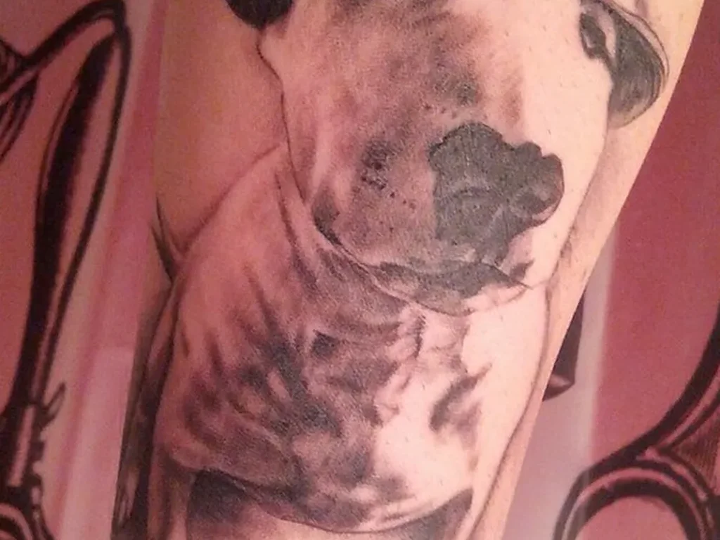 22 Pet Tattoo Ideas: Portraits, Paw Prints and Memorials Done Right 4 Black and grey bull terrier portrait tattoo wearing a bowler hat on a forearm