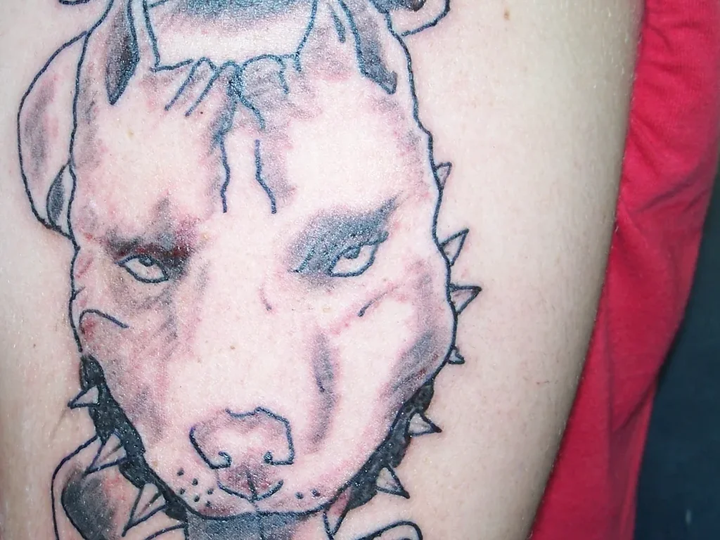 22 Pet Tattoo Ideas: Portraits, Paw Prints and Memorials Done Right 6 Traditional style pit bull portrait tattoo with a banner on an upper arm