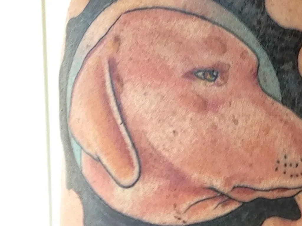22 Pet Tattoo Ideas: Portraits, Paw Prints and Memorials Done Right 7 Colour tattoo of a dogs head in profile inside a black cog shaped badge on a shoulder