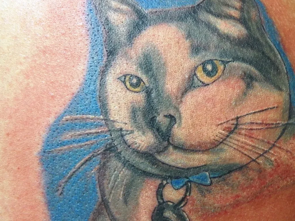 22 Pet Tattoo Ideas: Portraits, Paw Prints and Memorials Done Right 8 Colour cat portrait tattoo with a blue background and a bell collar on a shoulder blade