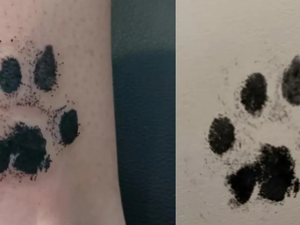 22 Pet Tattoo Ideas: Portraits, Paw Prints and Memorials Done Right 21 Paw print tattoo on a wrist photographed next to the original ink print on paper