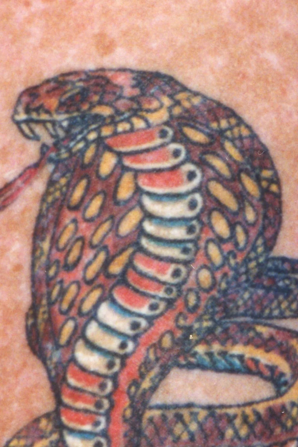 23 Small Tattoos for Women: Tiny Designs That Say a Lot, Quietly 14 Traditional colour cobra tattoo on the upper arm
