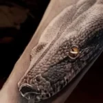 20 Snake Tattoo Ideas: Meanings, Styles and Placements That Work 25 Realistic black and grey snake head tattoo wrapping a forearm, gold eye detail