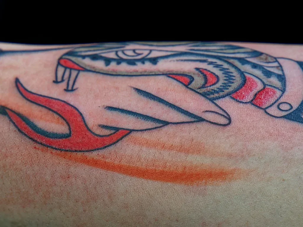 20 Snake Tattoo Ideas: Meanings, Styles and Placements That Work 3 American traditional snake tattoo biting a hand on a forearm, red and blue ink