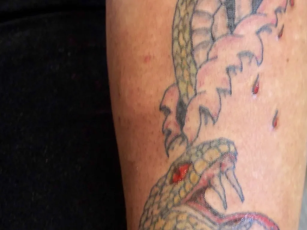 20 Snake Tattoo Ideas: Meanings, Styles and Placements That Work 14 Green snake tattoo with drumsticks and pink clouds on a calf